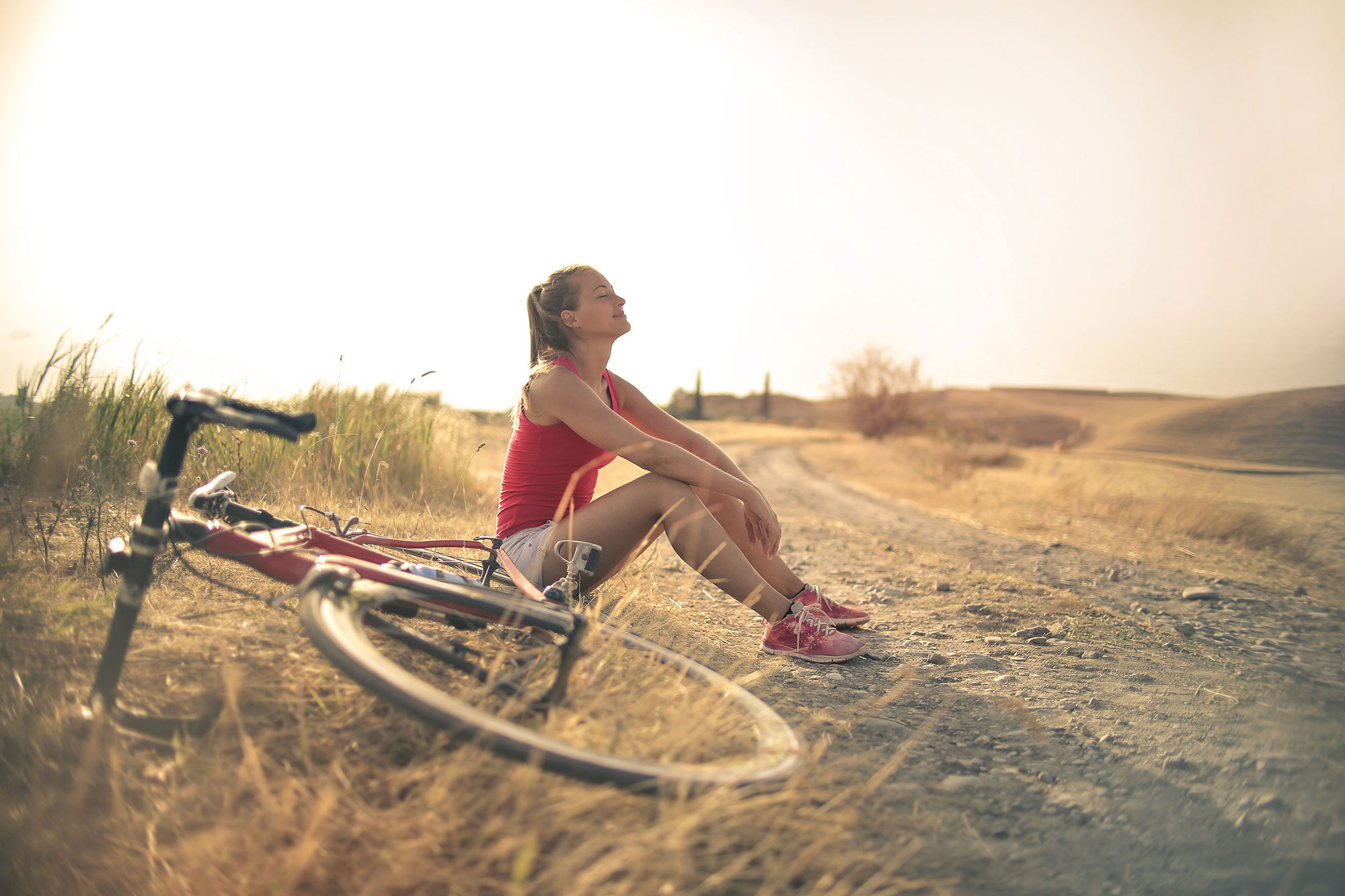 Bike</p>
<hr>
<p>Tour